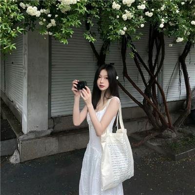 花园岛